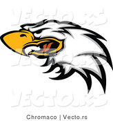 Vector of a Screeching Bald Eagle by Chromaco