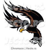 Vector of an American Bald Eagle Flapping Wings During Flight by Chromaco