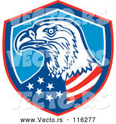 Vector of Bald Eagle American Flag in a Shield by Patrimonio